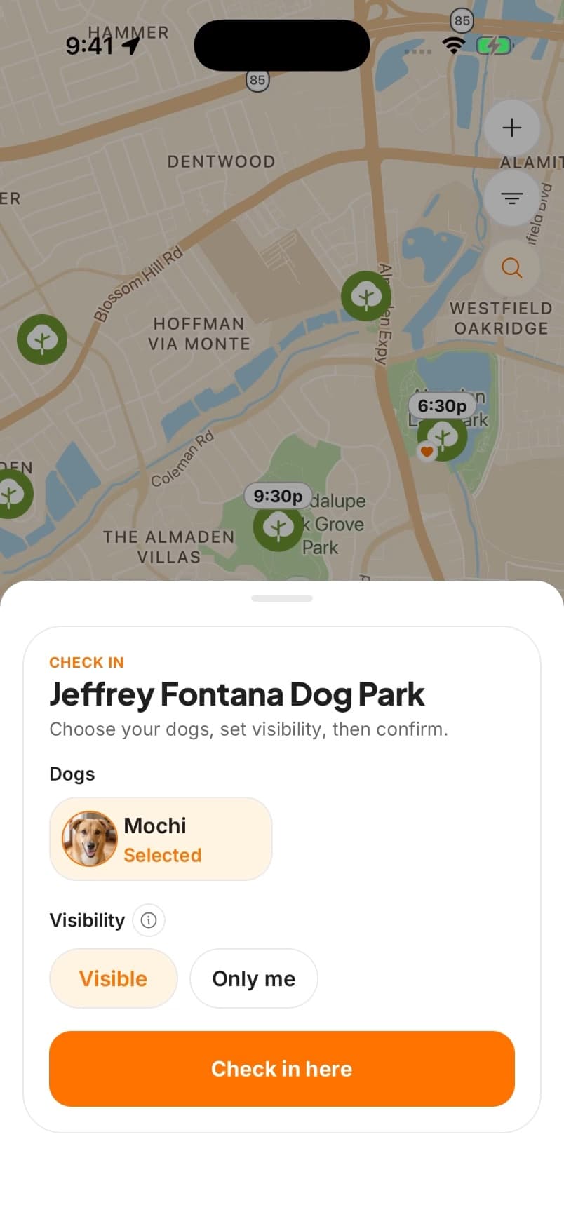 Pawcci check-in screen with Visible and Only me choices.