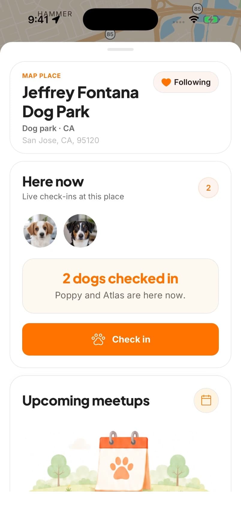 Pawcci Dogs here now screen showing current visible dog check-ins.